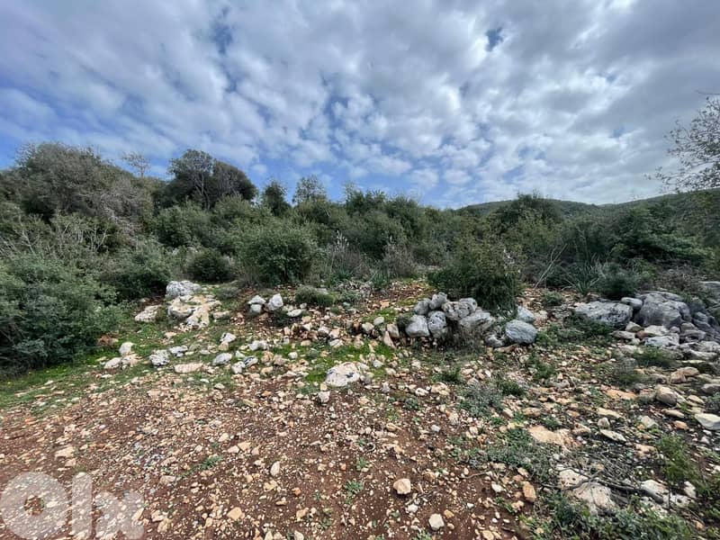 Perfect in land for (investors)  in EEbrin ( batroun)   85$/ sqm 1