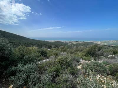 Perfect in land for (investors)  in EEbrin ( batroun)   85$/ sqm