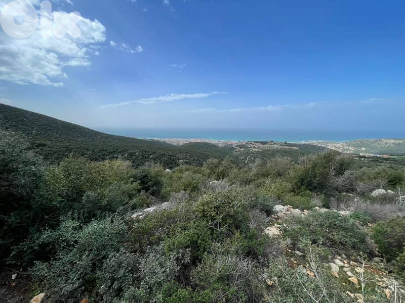 Perfect in land for (investors)  in EEbrin ( batroun)   85$/ sqm 2