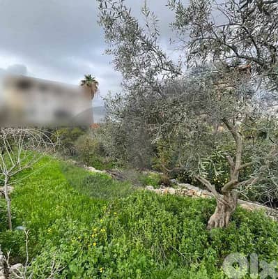Open Sea View, Great deal, jbeil, Hboub/حبوب REF#NI133022