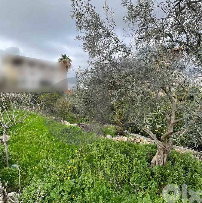 Open Sea View, Great deal, jbeil, Hboub/حبوب REF#NI133022 1