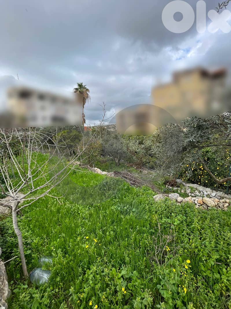 Open Sea View, Great deal, jbeil, Hboub/حبوب REF#NI133022 2