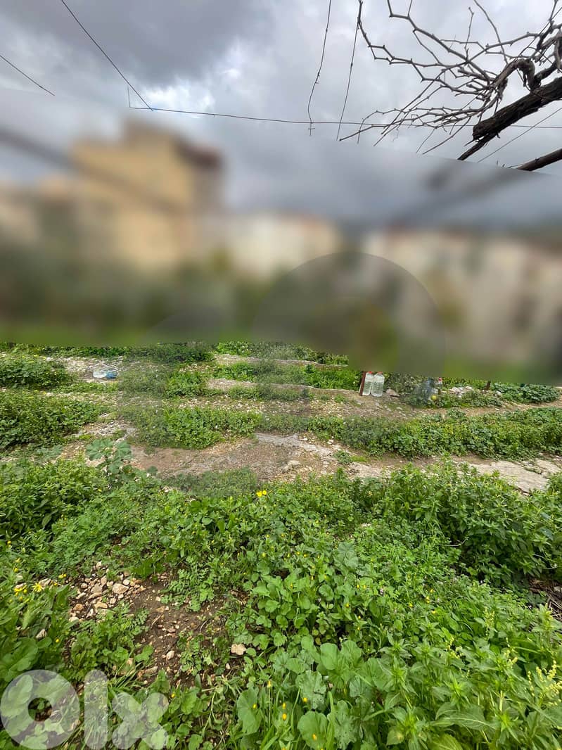 Open Sea View, Great deal, jbeil, Hboub/حبوب REF#NI133022 4
