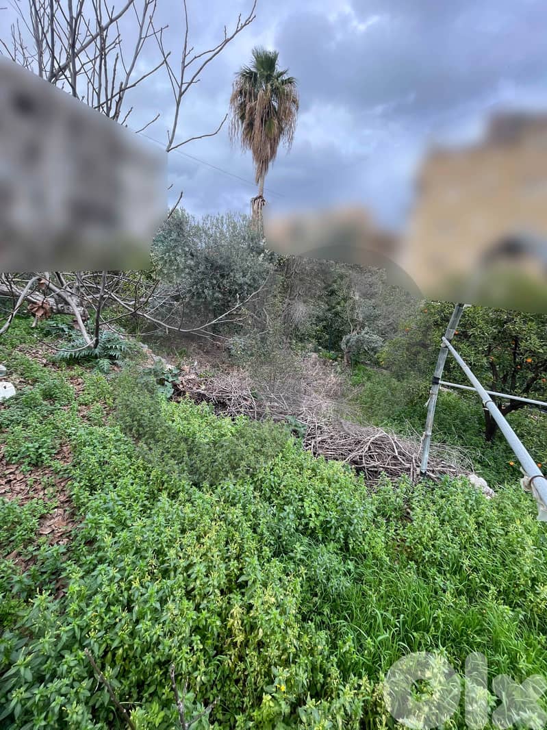 Open Sea View, Great deal, jbeil, Hboub/حبوب REF#NI133022 5