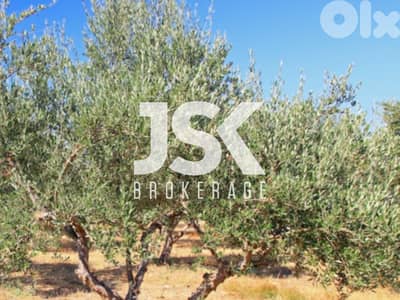 L13457 - Land for Sale In The Heart Of Deir Al Qamar