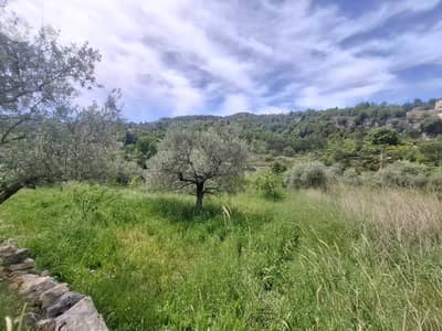 L20489 - Beautiful Land For Sale in Lehfed With Road Access