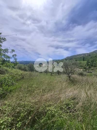 L20489 - Beautiful Land For Sale in Lehfed With Road Access