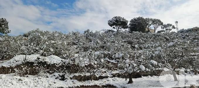 RWB339CA - Land for sale in Batroun - Derya