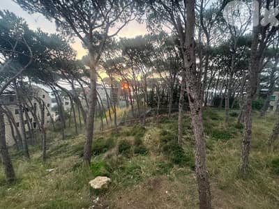 land for sale in mar chaaya أرض للبيع في مار شعيا