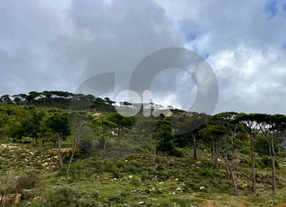 Mountain view ,Heating system,Calm area,Douar / الدوار REF#AW133069