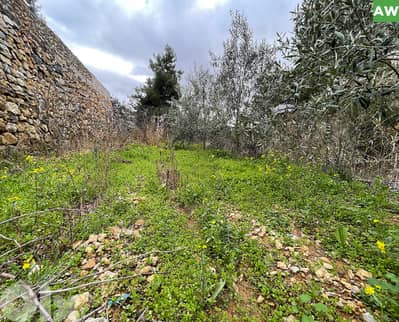 Great deal, prime area, calm, growing area, Douar/الدوار  REF#AW133094