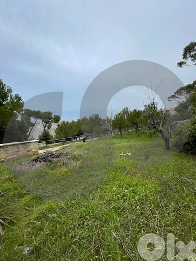 3810 sqm Land Area | 746 BUA | Exclusive REF#OK133101 !