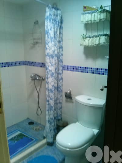 FURNISHED MINI-APARTMENT 285 USD Monthly Only