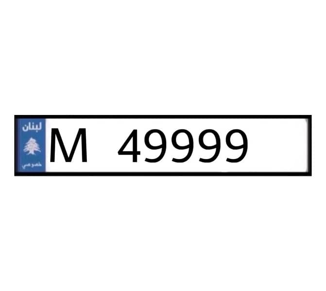 M   49999 0