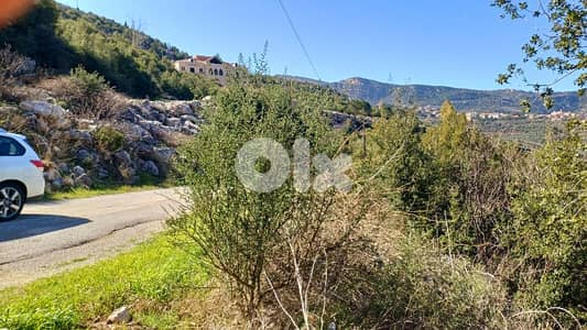 lands for sale in Douma أرض للبيع في دوما