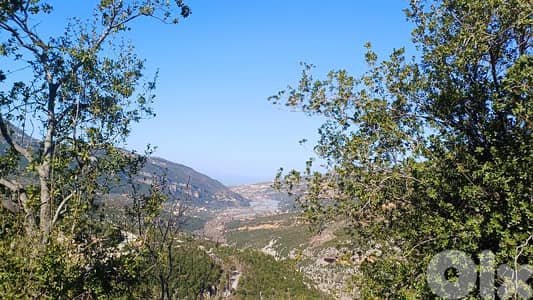 lands for sale in Douma أرض للبيع في دوما