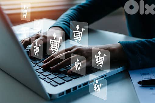 Professional E-commerce Store Development / pay upon delivery 0