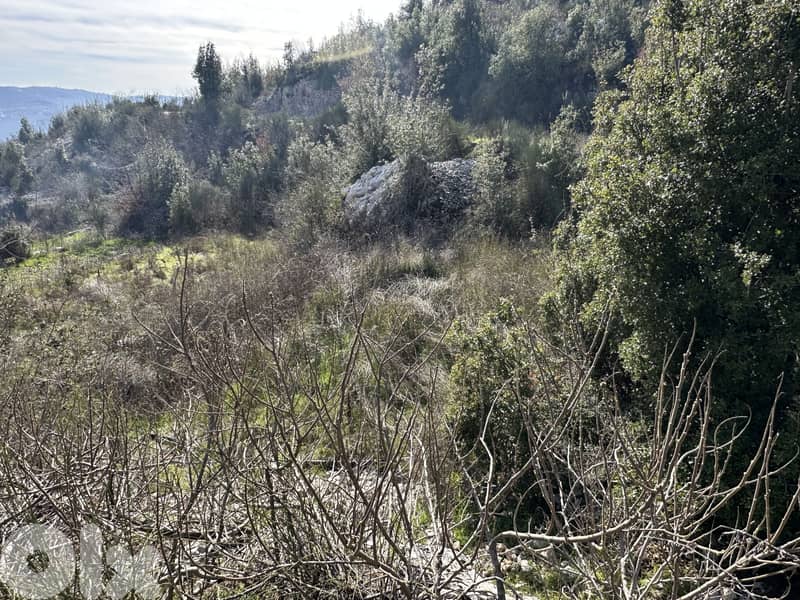 RWK138DZ - Land for sale in Faitroun 2