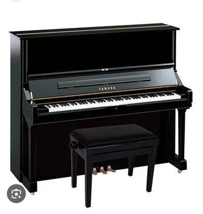piano tutoring for all levels & ages