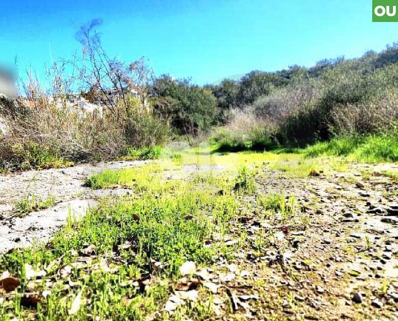 Beautiful view, Easy access, Electricity, Bayada/بياضة REF#OU133160 0