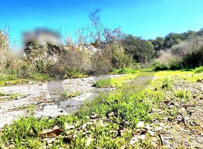 Beautiful view, Easy access, Electricity, Bayada/بياضة REF#OU133160