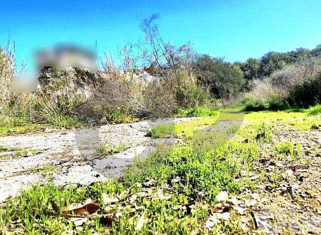Beautiful view, Easy access, Electricity, Bayada/بياضة REF#OU133160 1