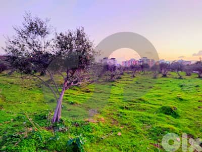 Prime C1 Development Land in Mejdleya – Zgharta/مجدليا ! REF#TN133168
