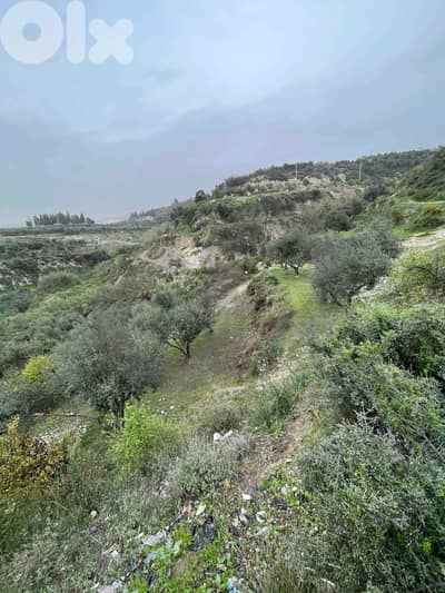 Open View, great deal, prime area, Chekka/شكا REF#NI133181