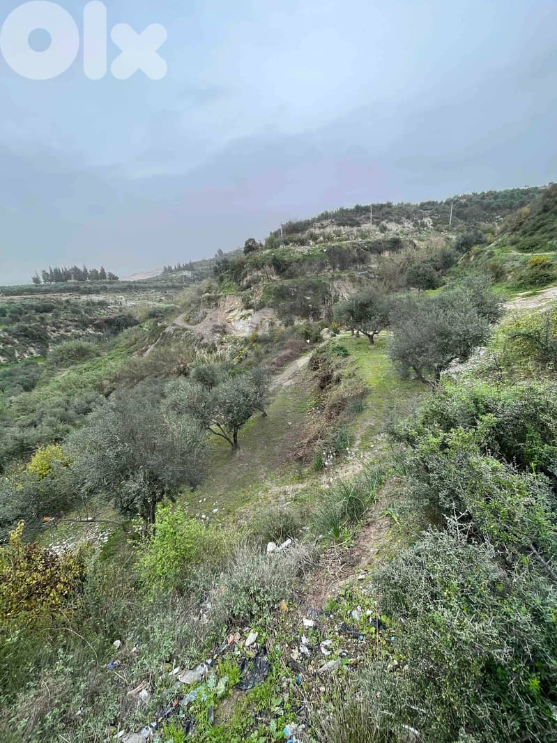 Open View, great deal, prime area, Chekka/شكا REF#NI133181 1