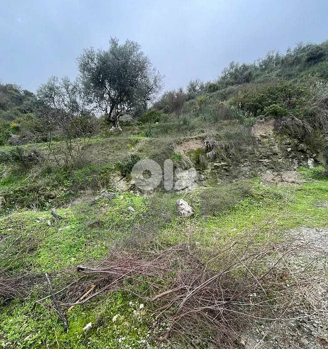 Open View, great deal, prime area, Chekka/شكا REF#NI133181 5