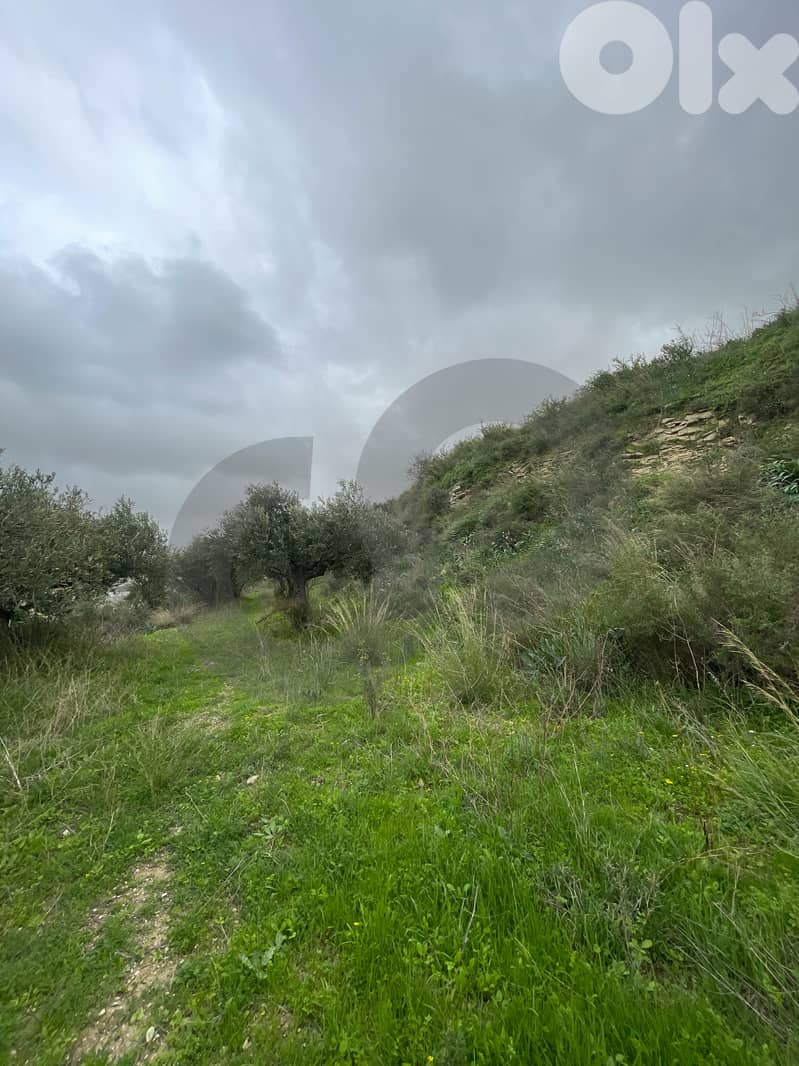 sea View, great deal, prime area, Chekka/شكا REF#NI133183 1