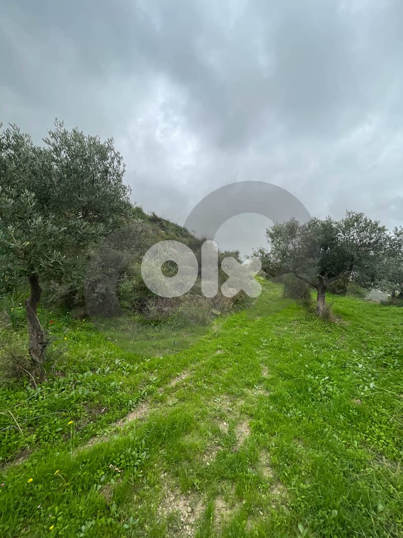 sea View, great deal, prime area, Chekka/شكا REF#NI133183 2