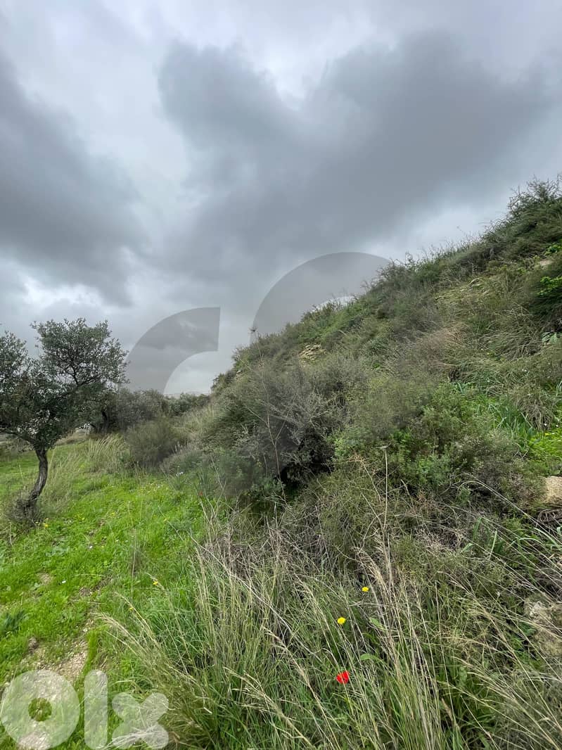 sea View, great deal, prime area, Chekka/شكا REF#NI133183 3
