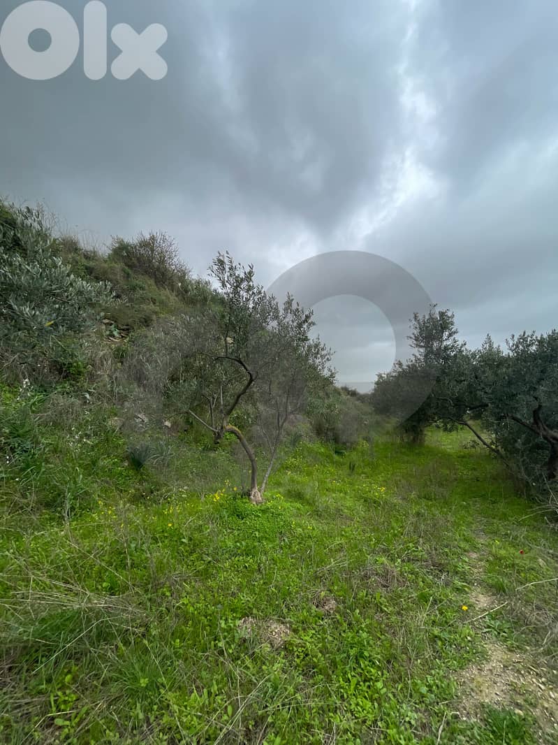 sea View, great deal, prime area, Chekka/شكا REF#NI133183 4