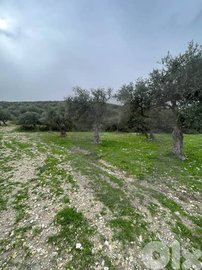 A Land of 2566 sqm , Open Sea View ,Chekka /شكا REF#NI133184