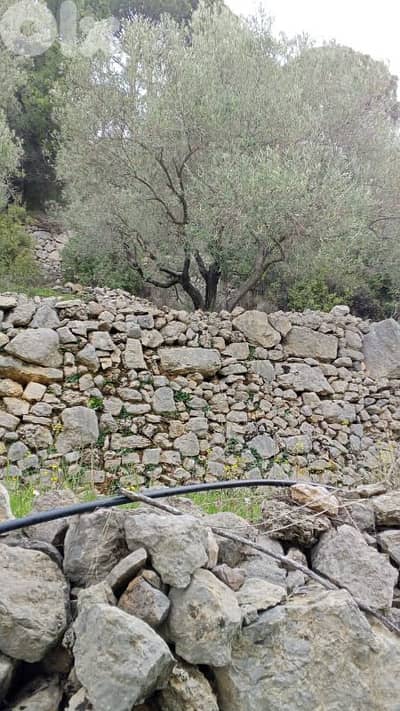 أرض للبيع في كفرنيس الشوف land for sale in chouf