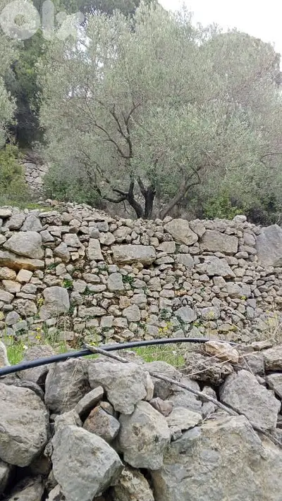 أرض للبيع في كفرنيس الشوف land for sale in chouf
