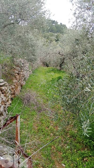 أرض للبيع في كفرنيس الشوف land for sale in chouf