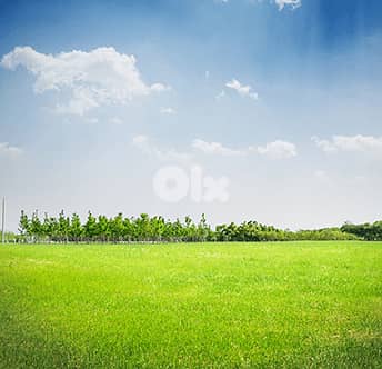 Land for Sale in Monsef