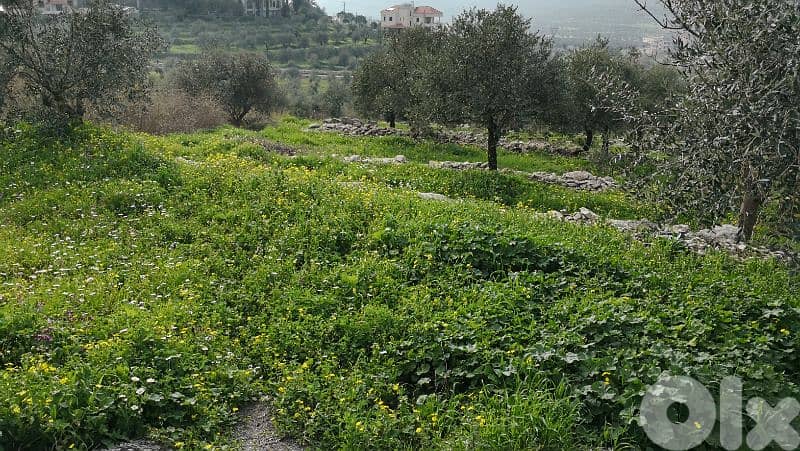 land for sale ouyoun broumana 1