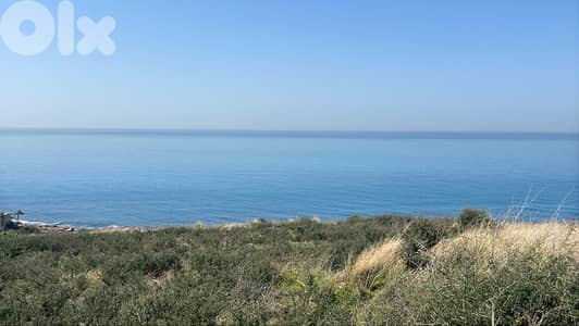 Monsef Seafront Estate - أرض استثمارية بحرية في المنصف