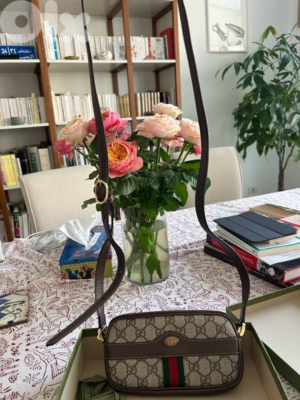 Gucci bag 3