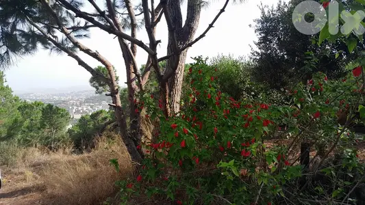 1020 Sqm Land For Sale In Ain Saadeh ارض للبيع في عين سعادة