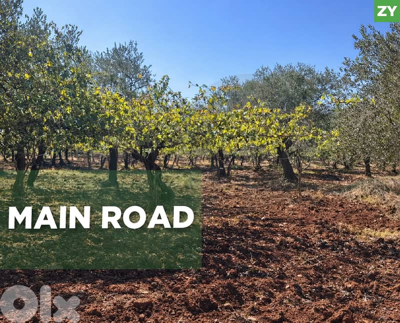 on the Main Road, prime area, Majdalaya/مجدليا REF#ZY133263 0