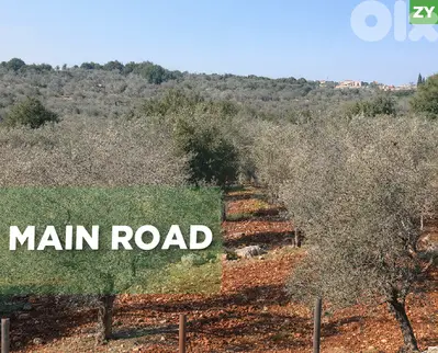 prime area, main road, great deal, Majdalaya/مجدليا REF#ZY133265