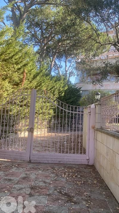 Gorgeous villa in Baabdat