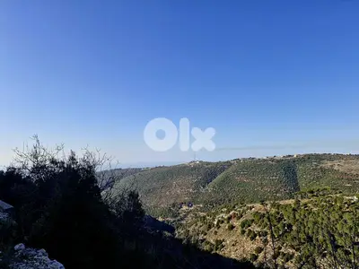 Land for sale in Lehfed - main road