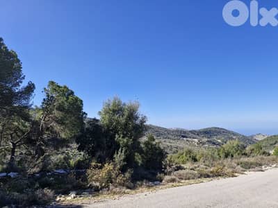 Land for sale in Lehfed - main road