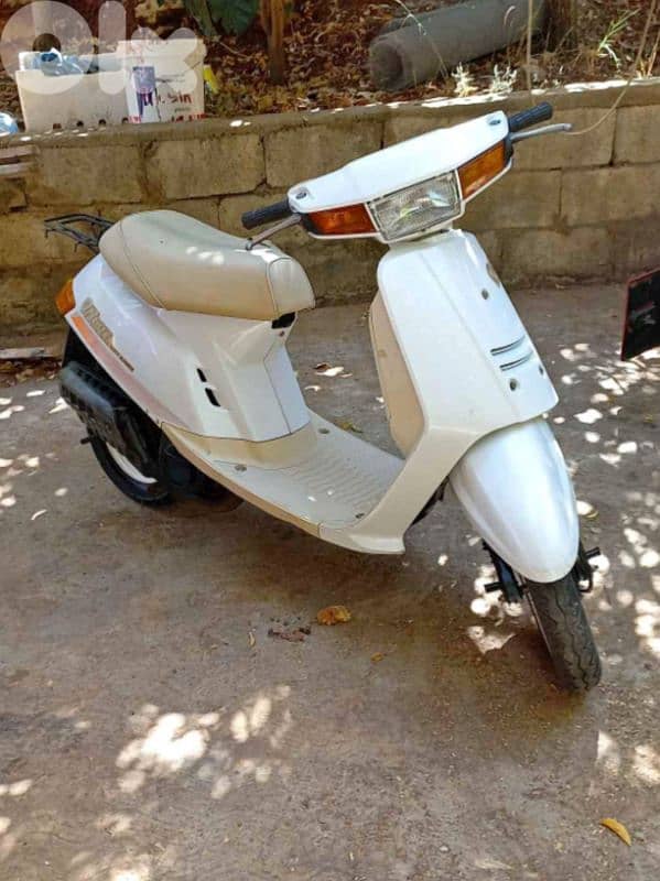 ضبية المتن 0