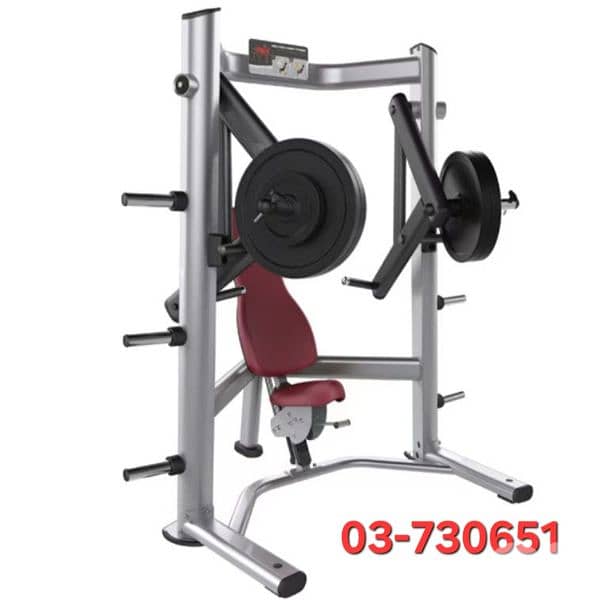 Decline chest press 0